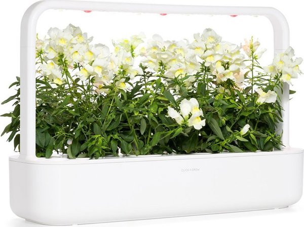 Click And Grow Click & Grow Έξυπνη Αναπλήρωση Λευκό Snapdragon 3 τεμάχια