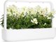 Click And Grow Click & Grow Έξυπνη Αναπλήρωση Λευκό Snapdragon 3 τεμάχια