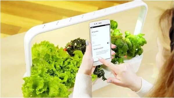 Click And Grow Click & Grow Smart Garden 9 Pro, white