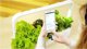 Click And Grow Click & Grow Smart Garden 9 Pro, white