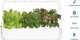 Click And Grow Click & Grow Smart Garden 9 Pro, white