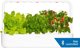 Click And Grow Click & Grow Smart Garden 9 Pro, white