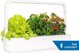 Click And Grow Click & Grow Smart Garden 9 Pro, white