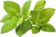 Click And Grow Click & Grow Smart Garden refill Lemon Balm 3pcs