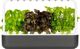 Click And Grow Click&Grow Έξυπνη γλάστρα Smart Garden 9 Dark Grey