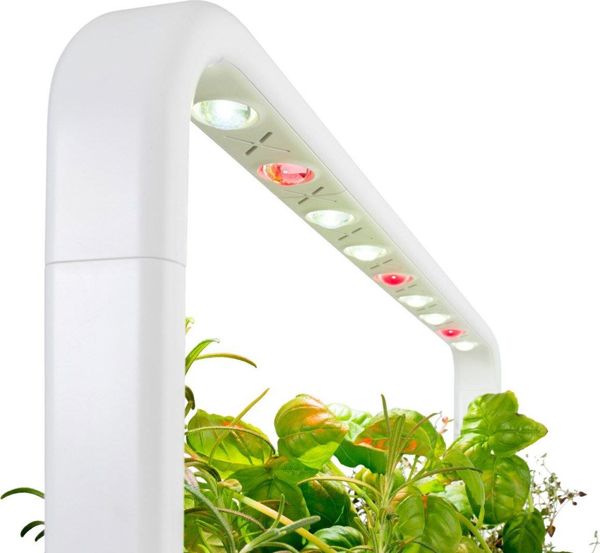 Click And Grow Click&Grow Έξυπνη γλάστρα Smart Garden 9 Dark Grey