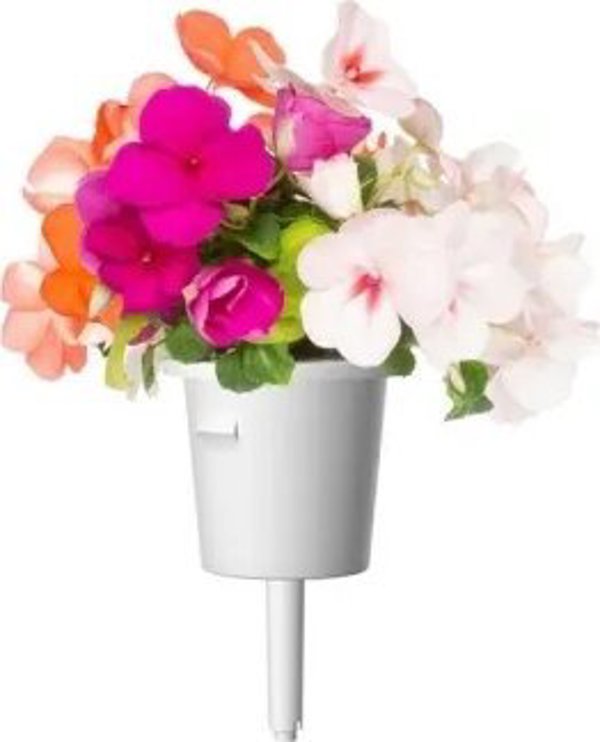 Click And Grow Click & Grow Smart Garden refill Busy Lizzie 3pcs