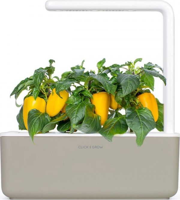 Click And Grow Click and Grow ανταλλακτικό κίτρινη πιπεριά 3-πακέτο