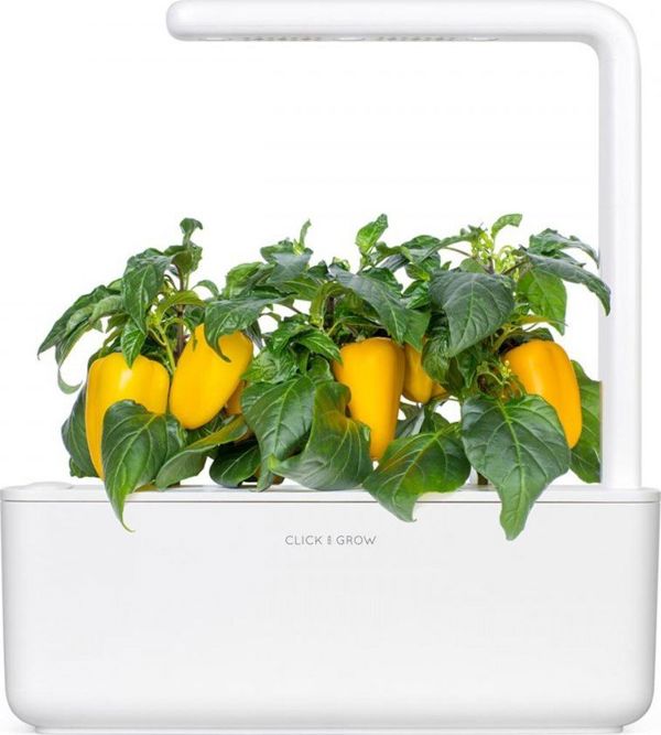 Click And Grow Click and Grow ανταλλακτικό κίτρινη πιπεριά 3-πακέτο