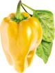 Click And Grow Click and Grow ανταλλακτικό κίτρινη πιπεριά 3-πακέτο