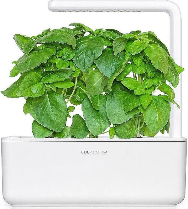 Click And Grow Click & Grow Smart Garden refill Marseille Basil 3pcs