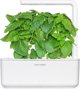 Click And Grow Click & Grow Smart Garden refill Marseille Basil 3pcs