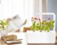Click And Grow Click&Grow Smart Soil Κάψουλες σπόρων πιπεριού τσίλι 3 συσκευασίες 6258670 4742793007311