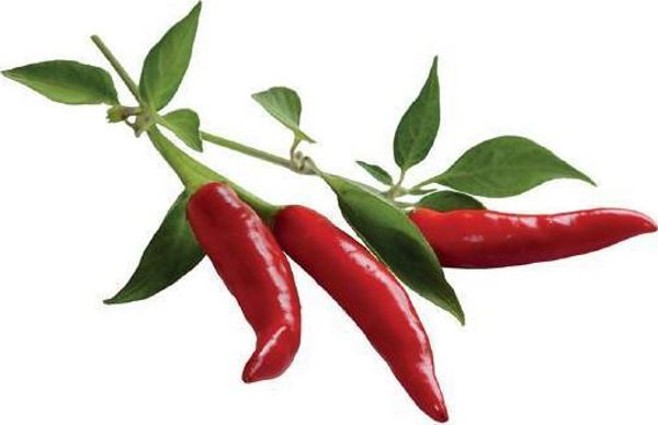 Click And Grow Click&Grow Smart Soil Κάψουλες σπόρων πιπεριού τσίλι 3 συσκευασίες 6258670 4742793007311