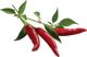 Click And Grow Click&Grow Smart Soil Κάψουλες σπόρων πιπεριού τσίλι 3 συσκευασίες 6258670 4742793007311