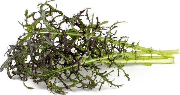 Click And Grow Click & Grow Smart Garden refill Red Frill Mustard 3pcs