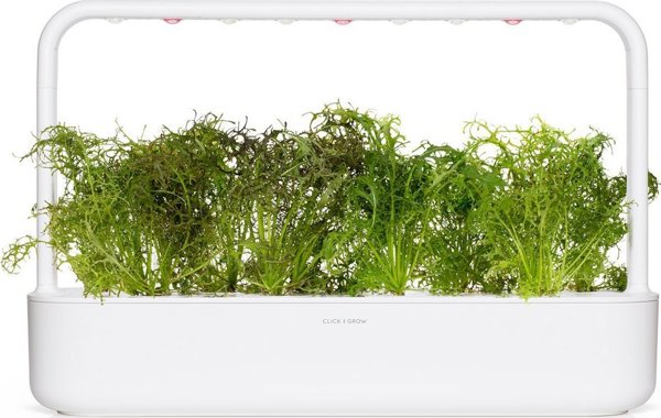 Click And Grow Click & Grow Smart Garden refill Red Frill Mustard 3pcs