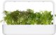Click And Grow Click & Grow Smart Garden refill Red Frill Mustard 3pcs
