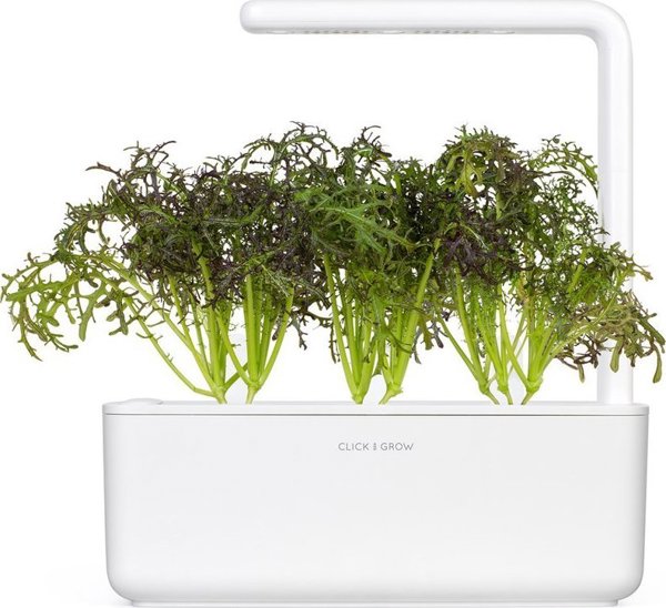 Click And Grow Click & Grow Smart Garden refill Red Frill Mustard 3pcs