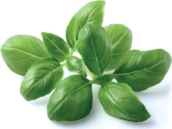 Click And Grow Click&Grow Smart Soil κάψουλες σπόρων βασιλικού 3 συσκευασίες 6258673 4742793007199