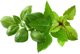 Click And Grow Click And Grow Click & Grow Κάψουλα Φυτού Μείγμα Ποικιλίας Βασιλικού 9 τεμ