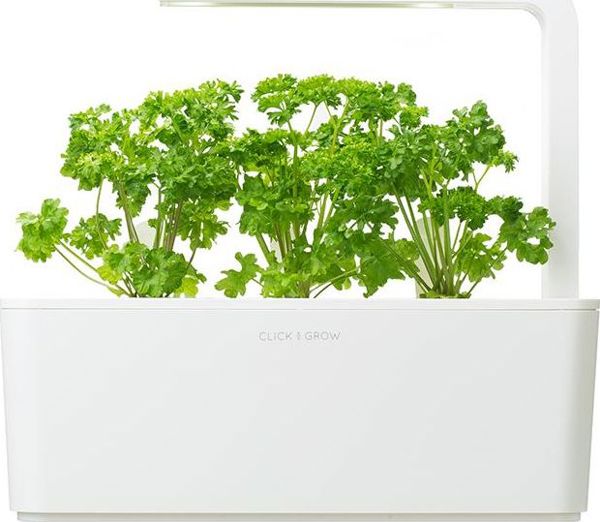 Click And Grow Click&Grow Smart Soil Κάψουλες σπόρων μαϊντανού 3 συσκευασίες 6258672 4742793007359