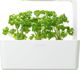 Click And Grow Click&Grow Smart Soil Κάψουλες σπόρων μαϊντανού 3 συσκευασίες 6258672 4742793007359