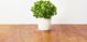Click And Grow Click&Grow Smart Soil Κάψουλες σπόρων μαϊντανού 3 συσκευασίες 6258672 4742793007359