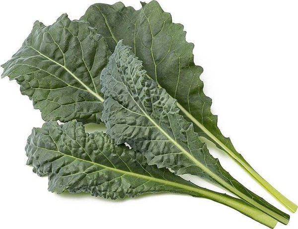 Click And Grow Click & Grow Smart Refill Italian Kale 3pcs