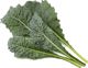 Click And Grow Click & Grow Smart Refill Italian Kale 3pcs