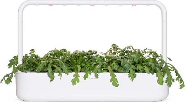Click And Grow Click & Grow Smart Garden ανταλλακτικό Shungiku 3 τεμ