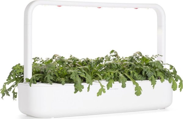 Click And Grow Click & Grow Smart Garden ανταλλακτικό Shungiku 3 τεμ