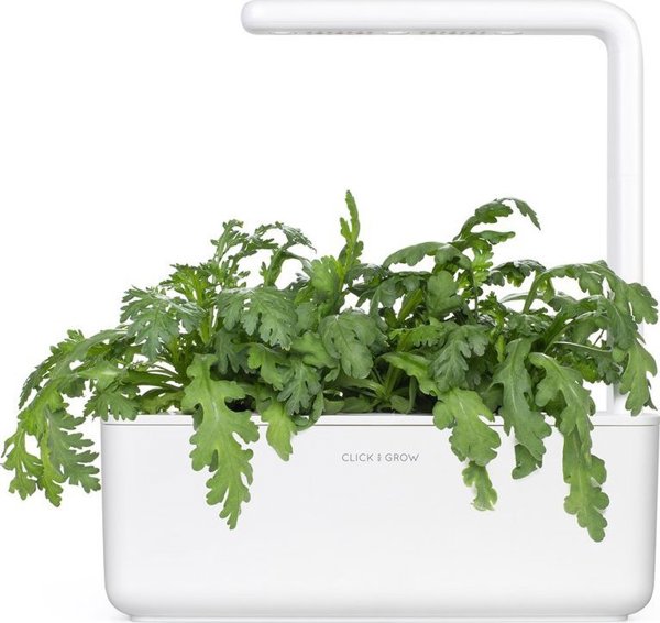 Click And Grow Click & Grow Smart Garden ανταλλακτικό Shungiku 3 τεμ