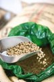 COFFEE PLANT - Έντονο Espresso 250g