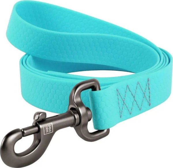 Collar Αδιάβροχο φωτεινό λουρί σκύλου WAUDOG πλάτος 20mm, μήκος 183 cm τυρκουάζ