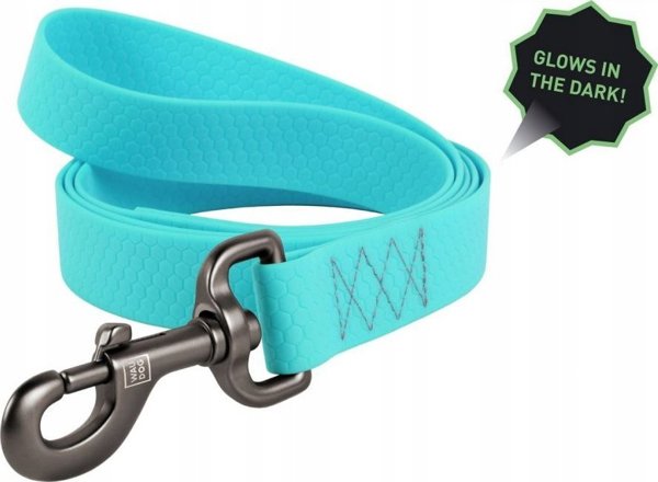 Collar Αδιάβροχο φωτεινό λουρί σκύλου WAUDOG πλάτος 20mm, μήκος 183 cm τυρκουάζ