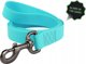 Collar Αδιάβροχο φωτεινό λουρί σκύλου WAUDOG πλάτος 20mm, μήκος 183 cm τυρκουάζ
