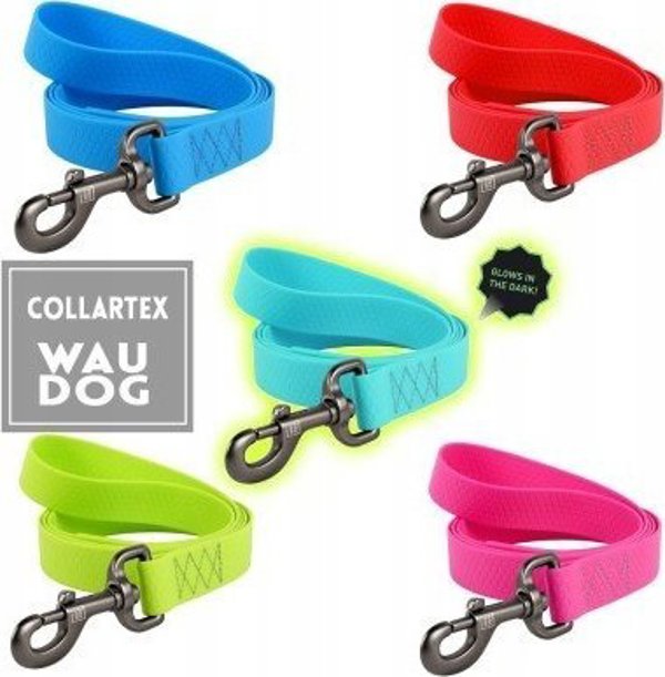 Collar Αδιάβροχο φωτεινό λουρί σκύλου WAUDOG πλάτος 20mm, μήκος 183 cm τυρκουάζ