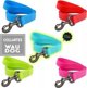 Collar Αδιάβροχο φωτεινό λουρί σκύλου WAUDOG πλάτος 20mm, μήκος 183 cm τυρκουάζ