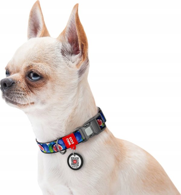 Collar WAU DOG ΝΑΎΛΟΝ ΠΕΡΙΛΑΙΜΙΟ ΜΕ QR ΕΤΙΚΈΤΑ 15mm/25-35cm ΣΎΚΟ