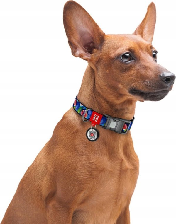 Collar WAU DOG ΝΑΎΛΟΝ ΠΕΡΙΛΑΙΜΙΟ ΜΕ QR ΕΤΙΚΈΤΑ 15mm/25-35cm ΣΎΚΟ