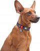 Collar WAU DOG ΝΑΎΛΟΝ ΠΕΡΙΛΑΙΜΙΟ ΜΕ QR ΕΤΙΚΈΤΑ 15mm/25-35cm ΣΎΚΟ