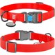 Collar Αδιάβροχο κολάρο με QR-διαβατήριο, πλαστικό fastex, M 20mm/28-40cm κόκκινο