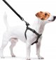 Collar WAU DOG ΛΟΥΡΙ ΑΔΙΑΒΡΟΧΟ 2,0/305cm PVC ΜΑΥΡΟ