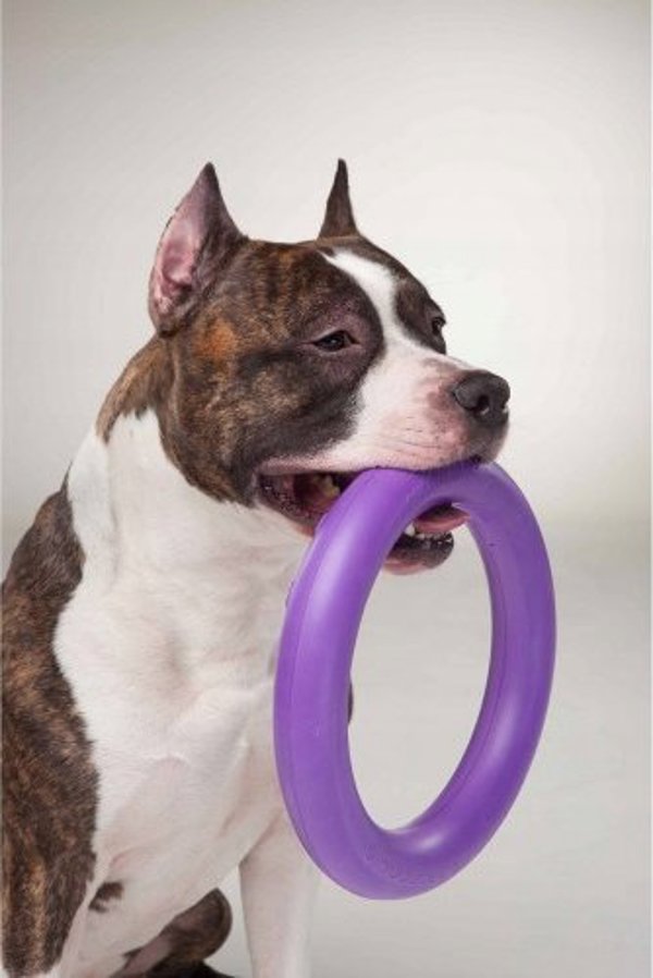 Collar PULLER MIDI 19,5cm 2szt/op