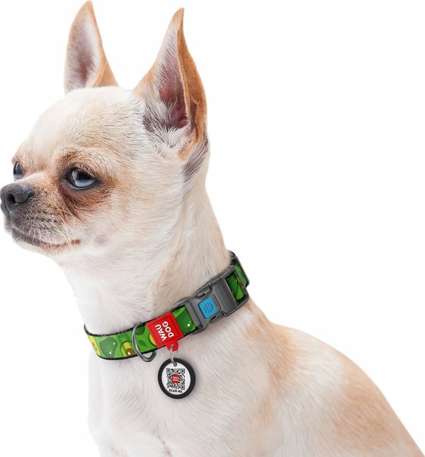Collar WAU DOG ΝΑΎΛΟΝ ΠΕΡΙΛΑΙΜΙΟ ΜΕ QR ΕΤΙΚΈΤΑ 20mm/28-40cm ΑΒΟΚΆΝΤΟ