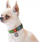 Collar WAU DOG ΝΑΎΛΟΝ ΠΕΡΙΛΑΙΜΙΟ ΜΕ QR ΕΤΙΚΈΤΑ 20mm/28-40cm ΑΒΟΚΆΝΤΟ
