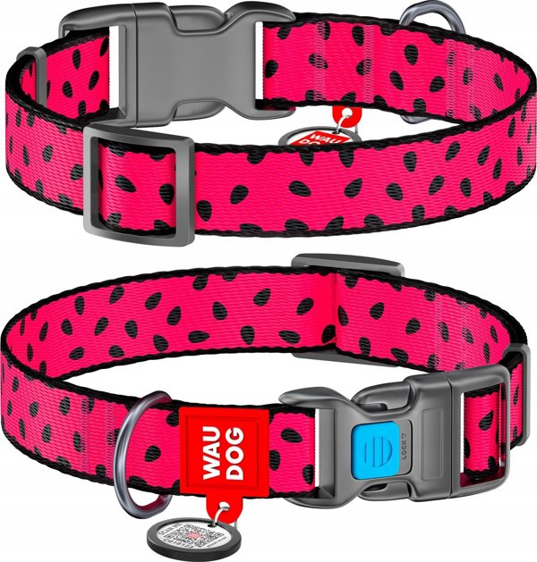 Κολάρο WAU DOG ΝΑΪΛΟΝ ΜΕ QR ΕΤΙΚΕΤΑ 25mm/33-49cm ΚΑΡΠΟΥΖΙ