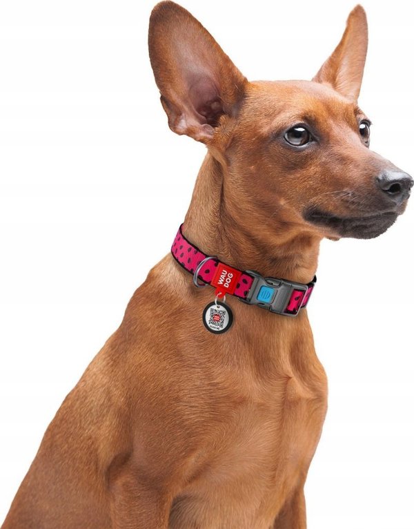 Κολάρο WAU DOG ΝΑΪΛΟΝ ΜΕ QR ΕΤΙΚΕΤΑ 25mm/33-49cm ΚΑΡΠΟΥΖΙ