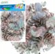 Craft with Fun ΔΙΑΚΟΣΜΗΤΙΚΟ ΦΤΕΡΑ 2G ΚΗΛΙΔΕΣ ΠΑΣΤΕΛ CF PBH 12/288